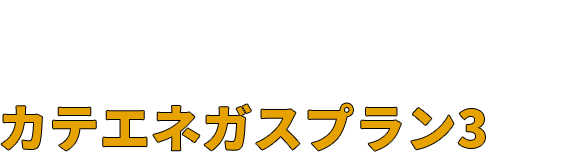 【東邦ガス】床暖トクトク料金（家庭用床暖房契約）1種・2種をご契約のお客さま向け ガス温水床暖房をご利用のお客さまが対象です。カテエネガスプラン3