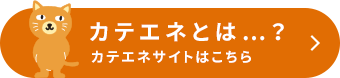 カテエネとは